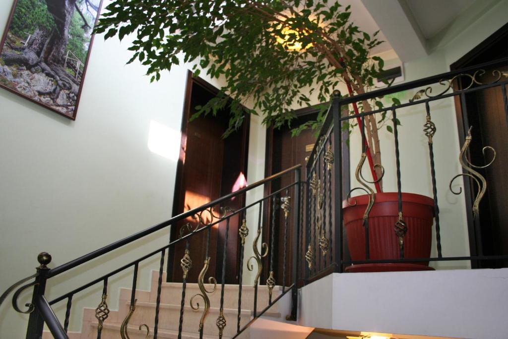 Family Hotel Zora Razlog Esterno foto